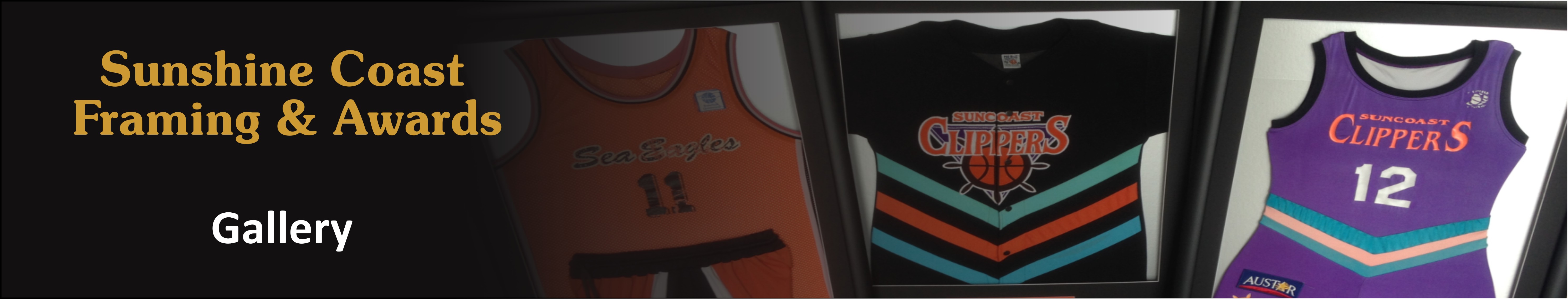 Banner image for Sunshine Coast Framing and Awards